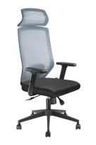 Кресло для руководителя Bronte RCH A755 Luxe Серая сетка Кресло для руководителя Bronte RCH A755 Luxe Серая сетка