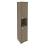 Вяз