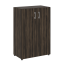 Дуб Мали